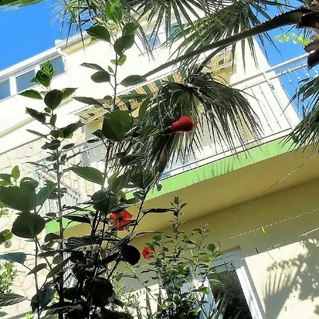 Branko - 60m From The Beach Daire *